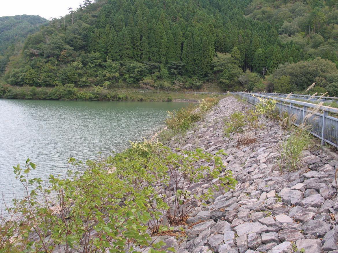 ため池事前放流による雨水貯留容量の確保と洪水軽減効果の評価