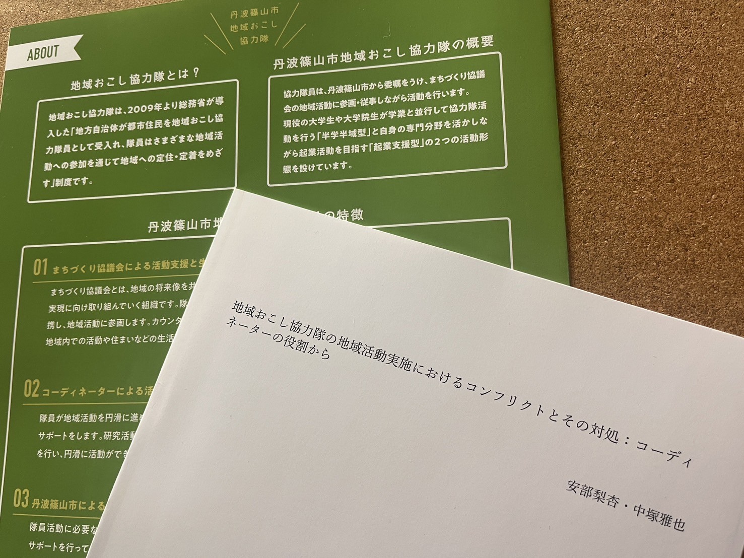 地域おこし協力隊活動のコンフリクトとその対処