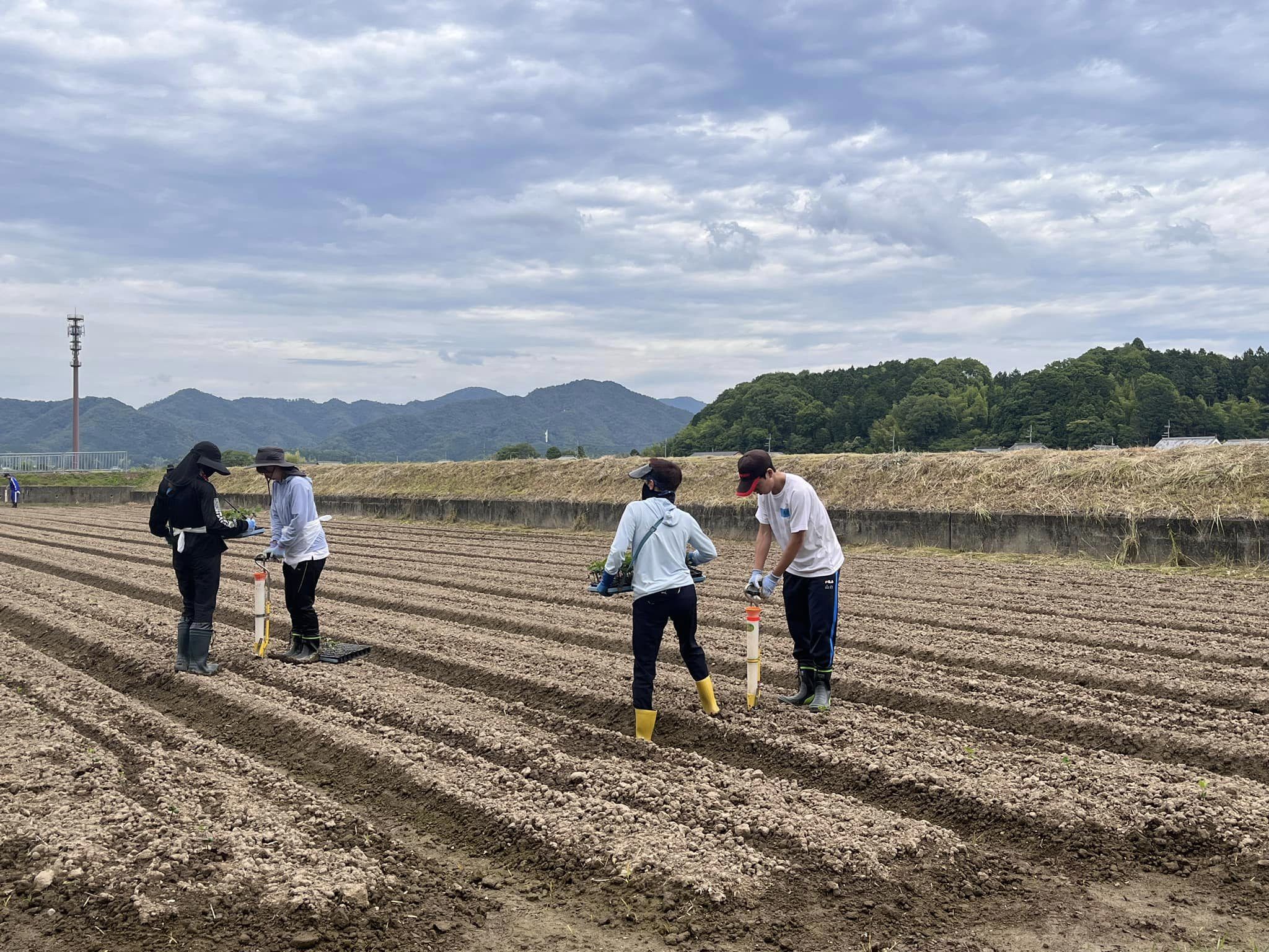 実践農学入門第2回実習