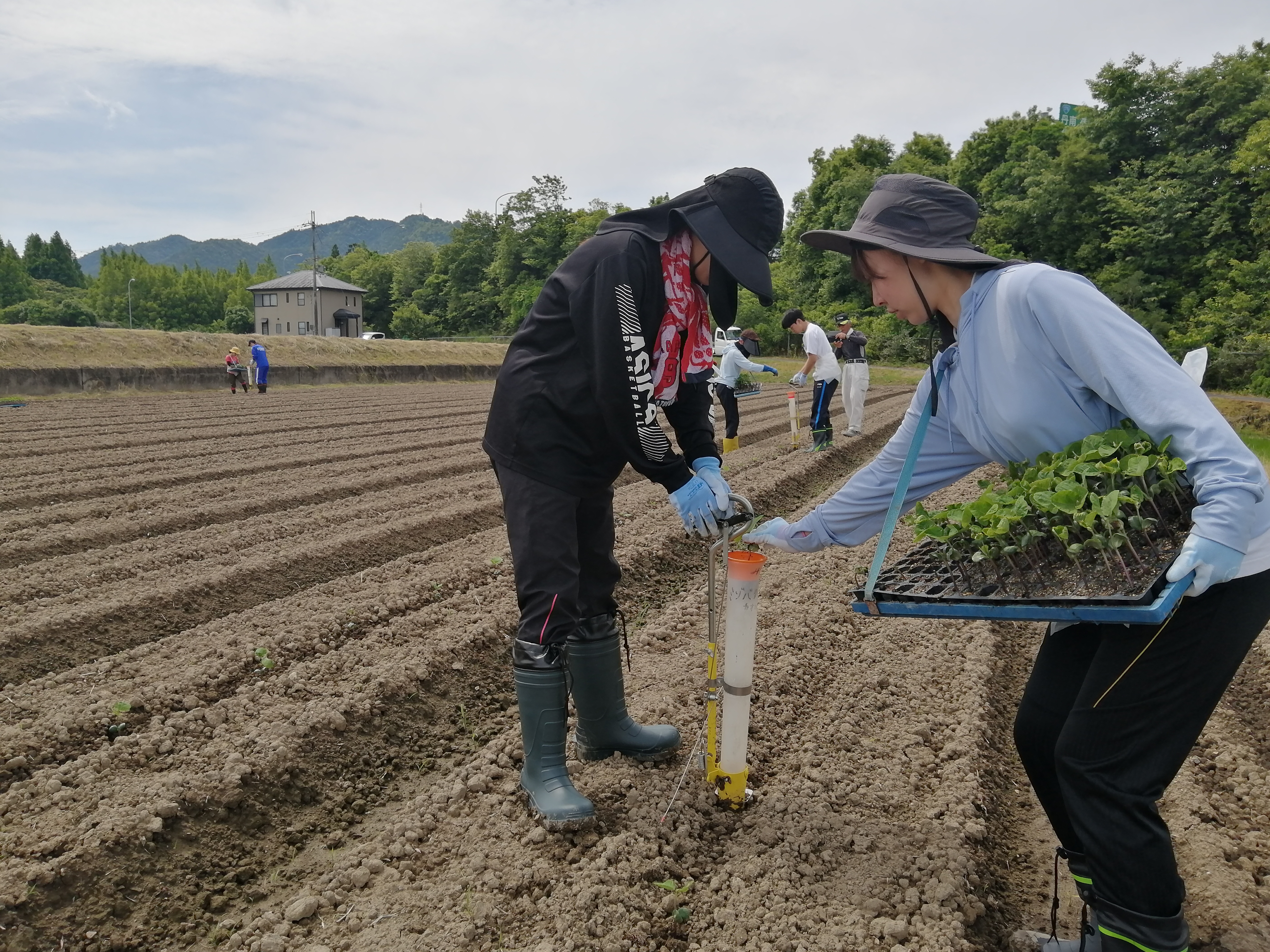 2024 実践農学入門(現地実習)